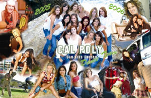 cpdanceteamsmall.jpg